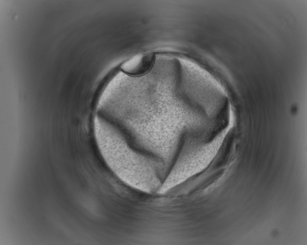 X0000100391166200807031942