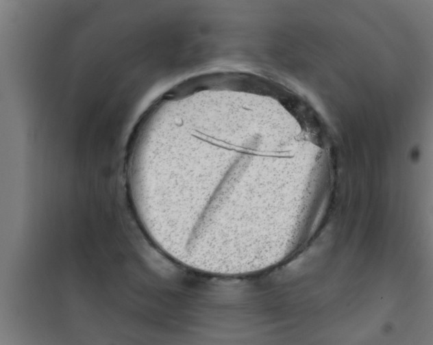 X0000100391168200807031942