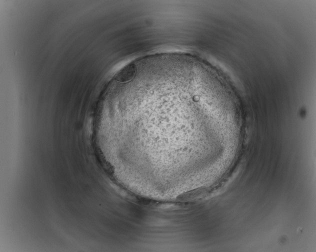 X0000100391169200807031942