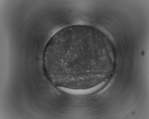 X0000100391170200807031942