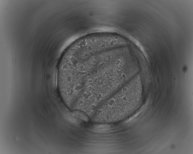 X0000100391171200807031942