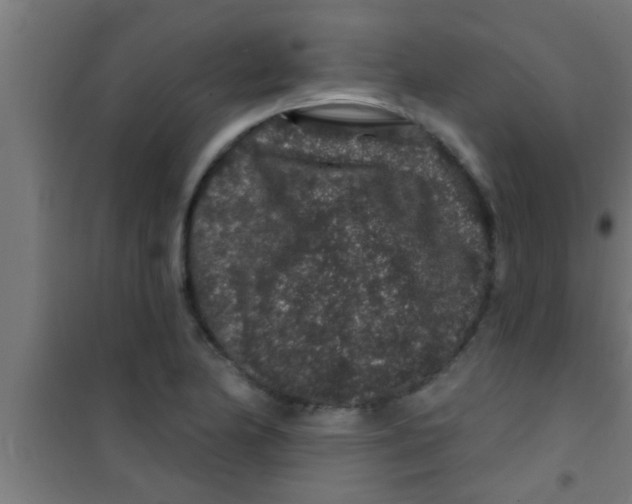 X0000100391174200807031942