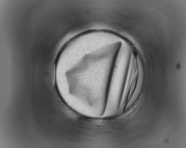 X0000100391175200807031942