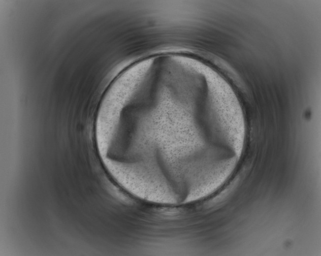 X0000100391177200807031942