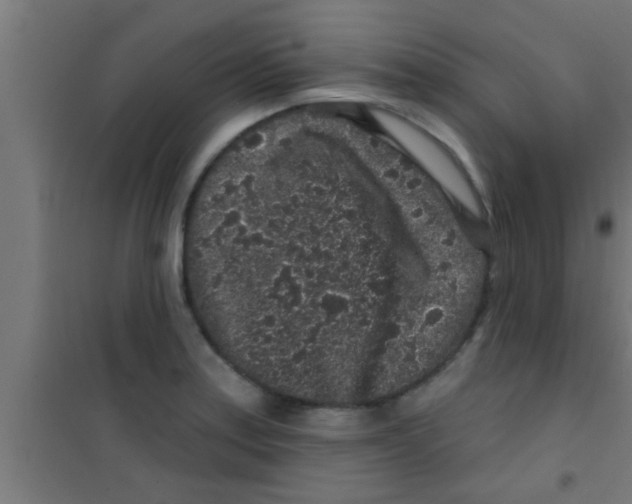 X0000100391179200807031942