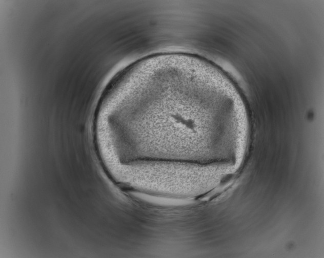 X0000100391181200807031942