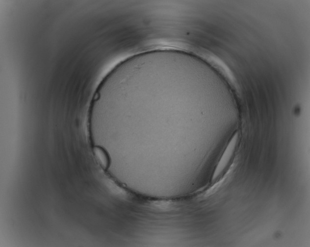 X0000100391182200807031942