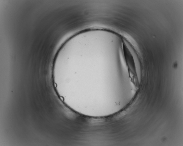 X0000100391183200807031942