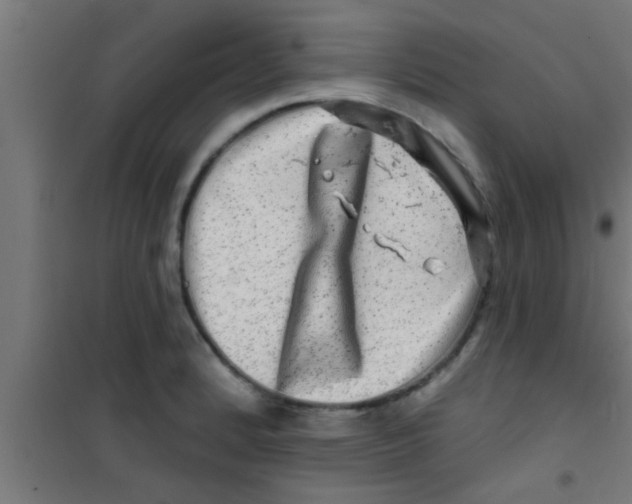 X0000100391184200807031942