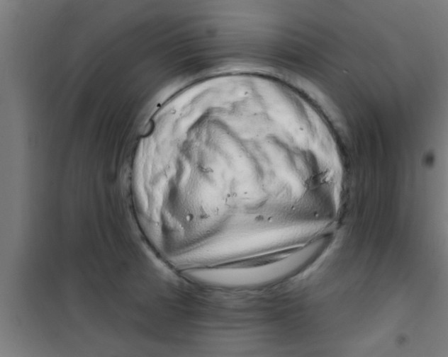 X0000100391185200807031942