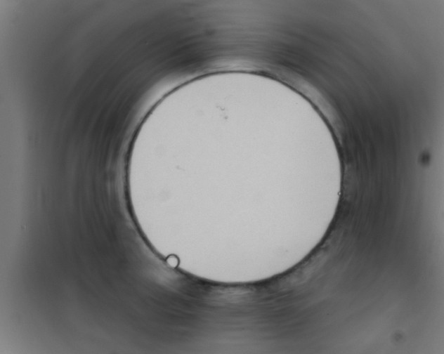 X0000100391187200807031942