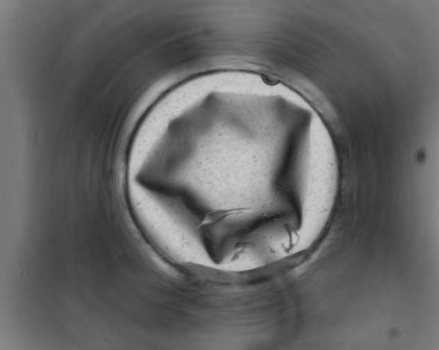 X0000100391188200807031942