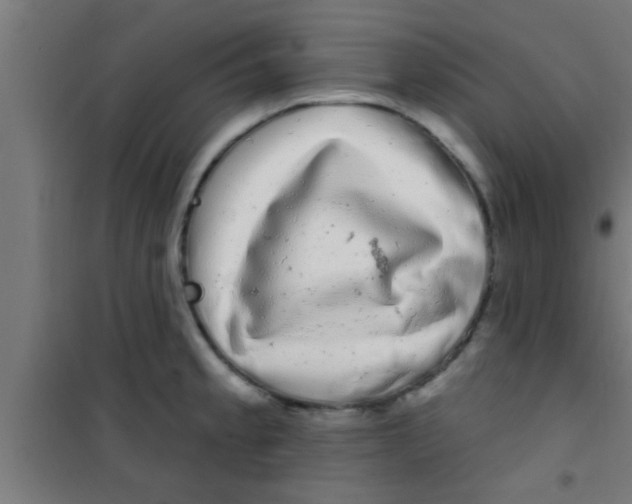 X0000100391189200807031942