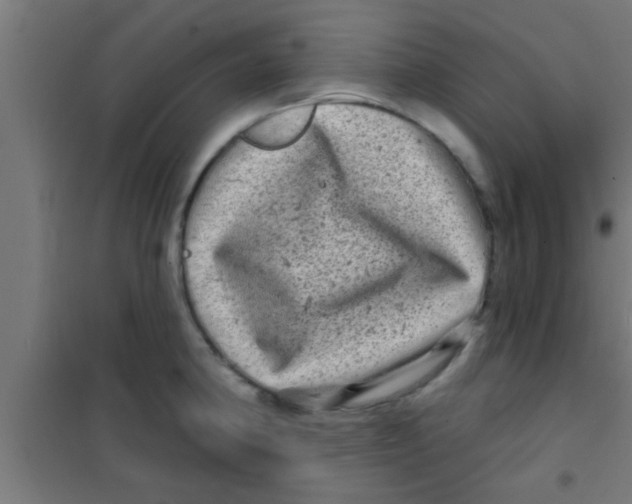 X0000100391190200807031942