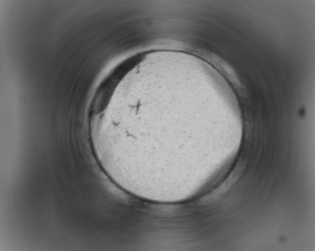 X0000100391192200807031942