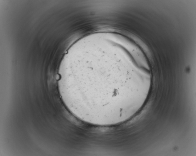 X0000100391193200807031942