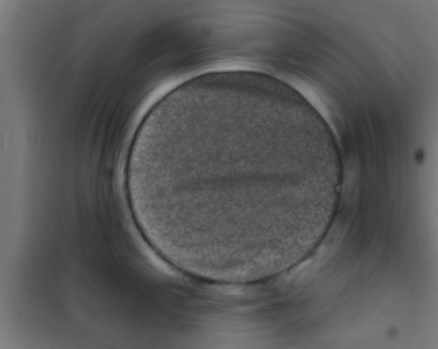 X0000100391197200807031942