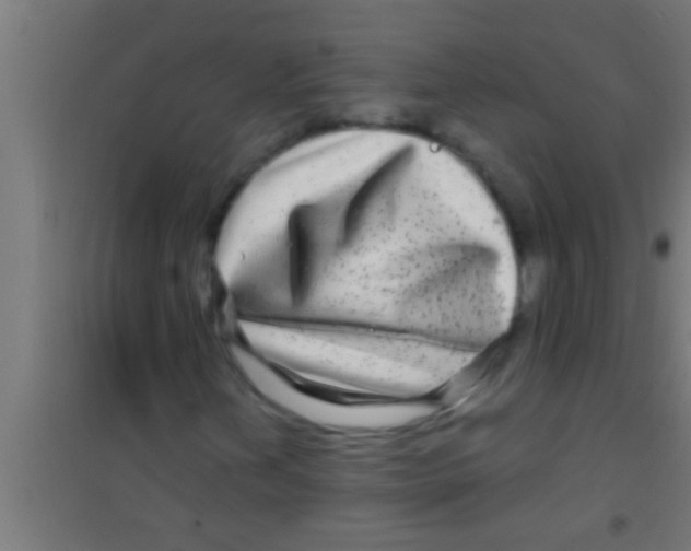 X0000100391202200807031941