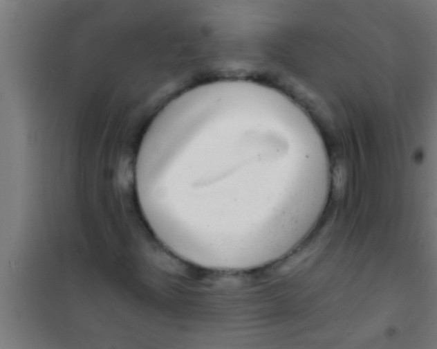 X0000100391204200807031941