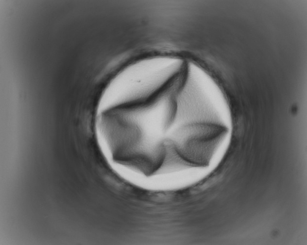 X0000100391205200807031941