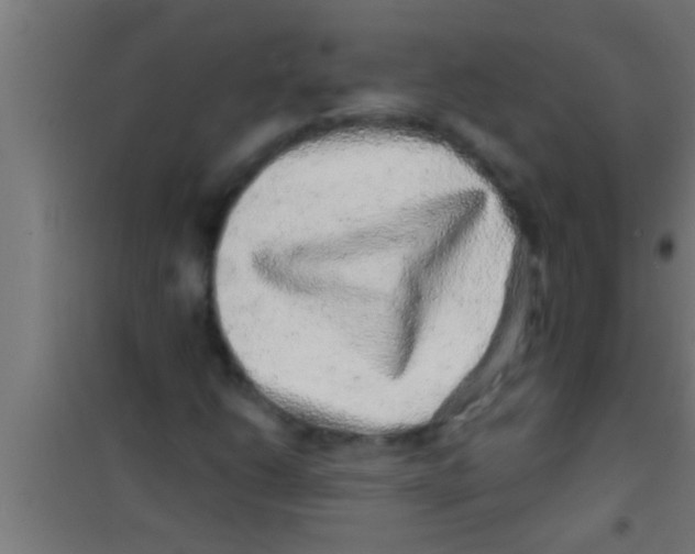 X0000100391206200807031941