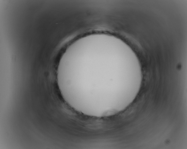 X0000100391207200807031941