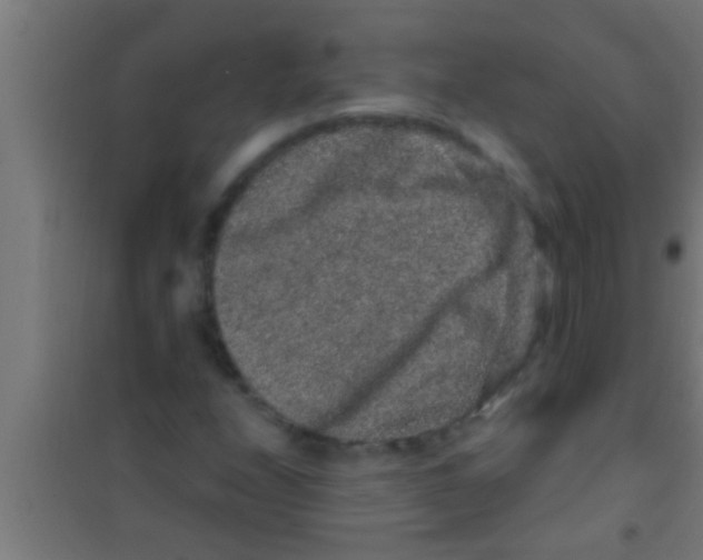 X0000100391208200807031941