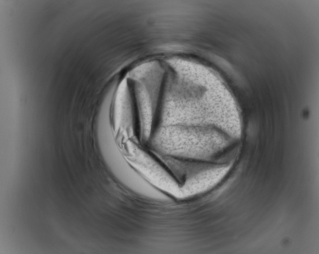 X0000100391209200807031941