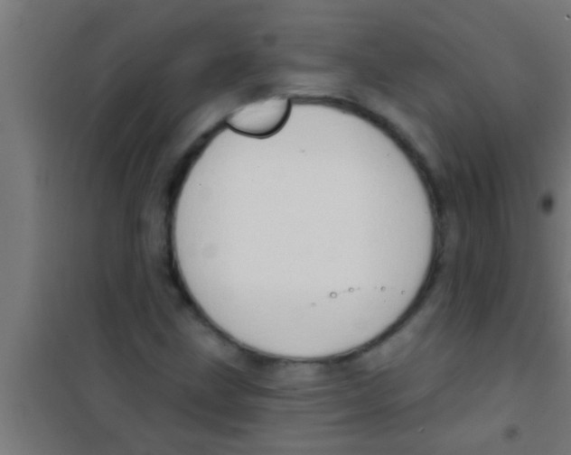 X0000100391211200807031941