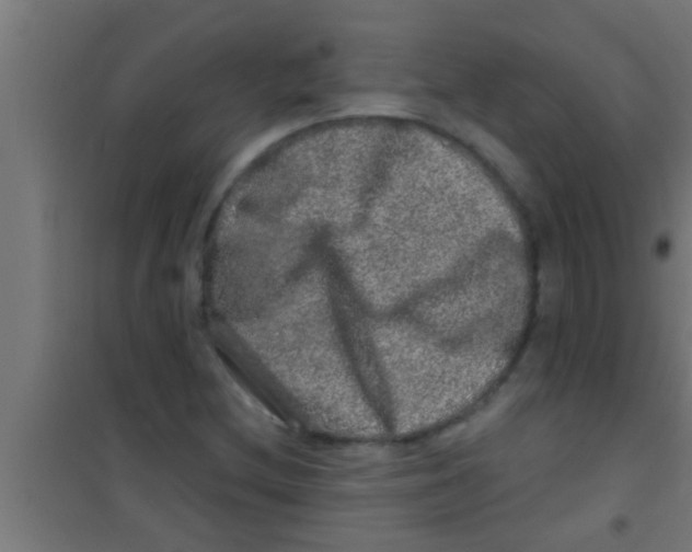 X0000100391212200807031941