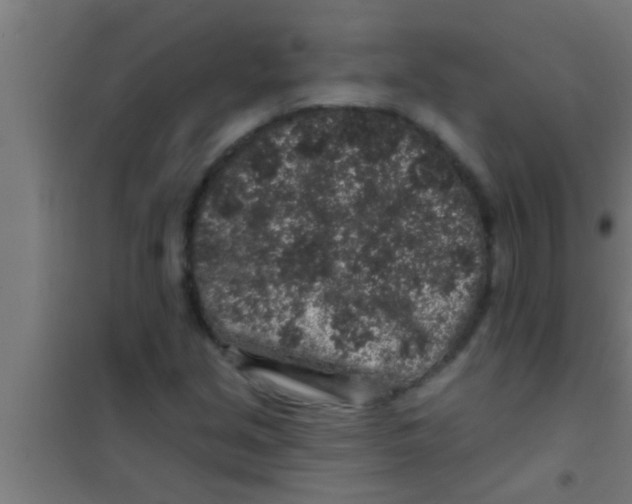 X0000100391213200807031941