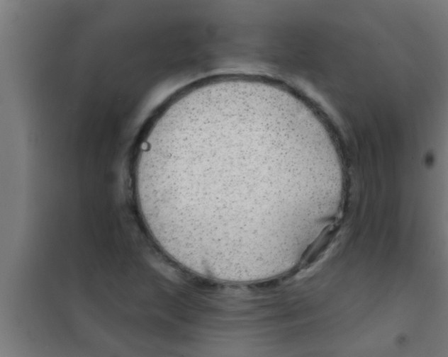 X0000100391215200807031941