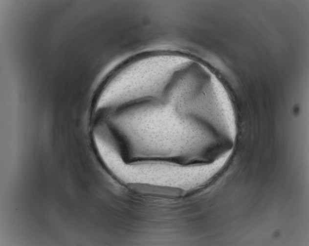 X0000100391216200807031941