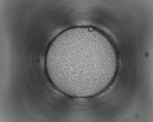 X0000100391217200807031941