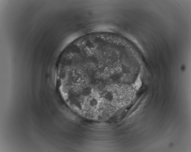 X0000100391219200807031941