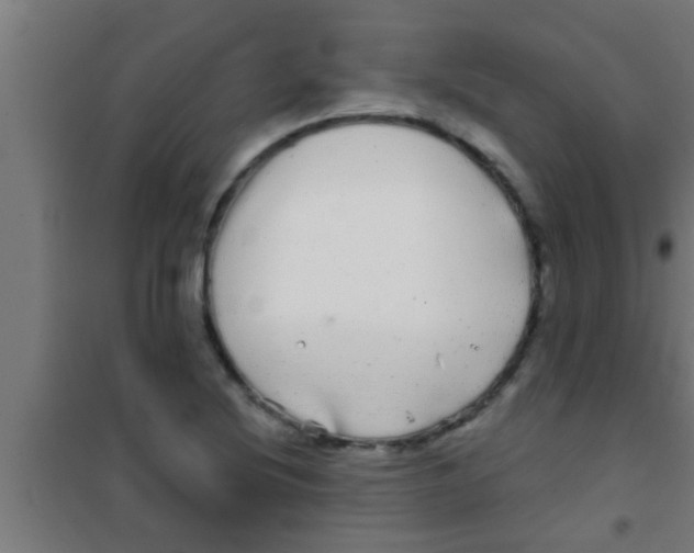 X0000100391220200807031941