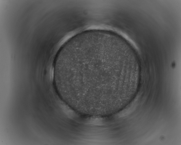 X0000100391221200807031941