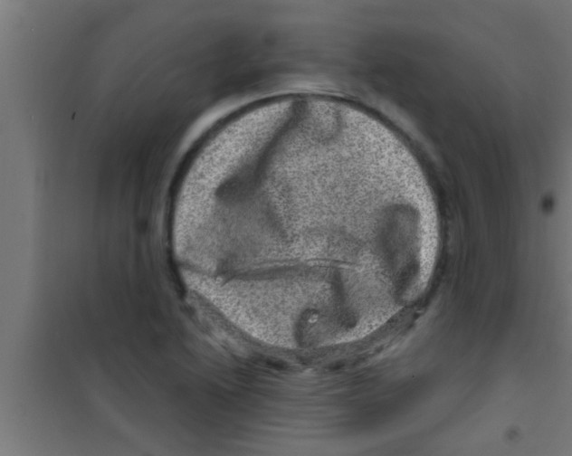 X0000100391222200807031941