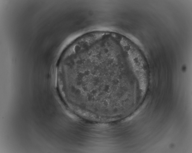 X0000100391223200807031941