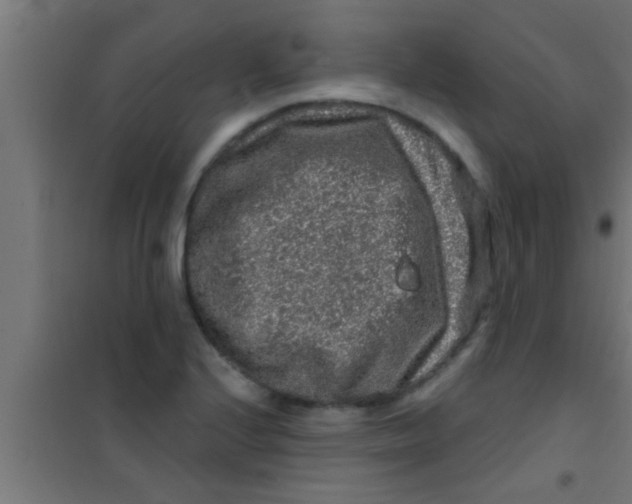 X0000100391224200807031942