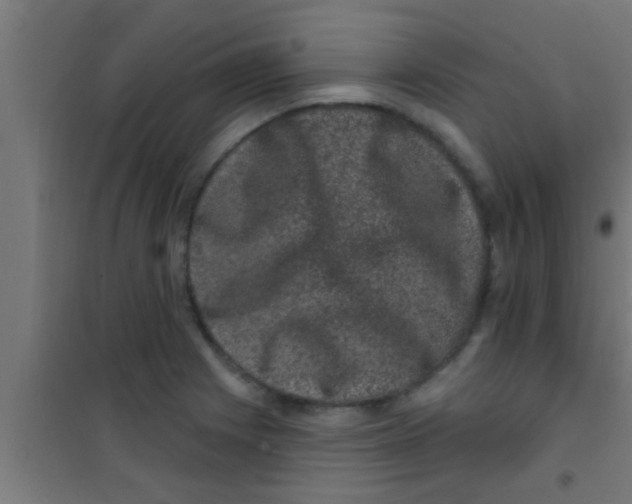 X0000100391225200807031942