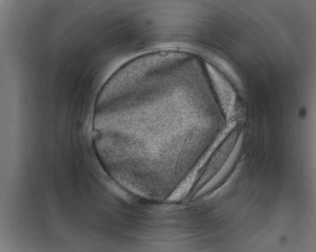 X0000100391228200807031942