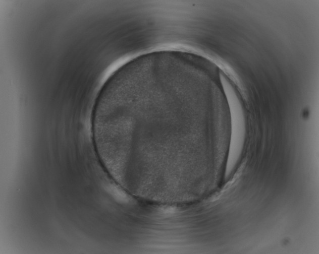 X0000100391230200807031942