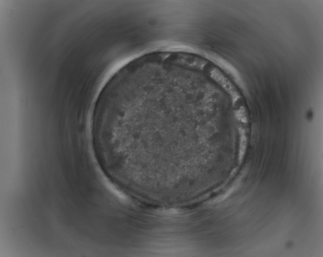 X0000100391231200807031942