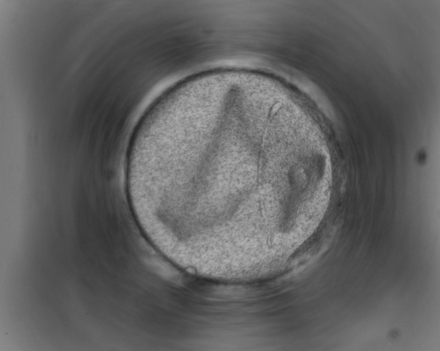 X0000100391232200807031942