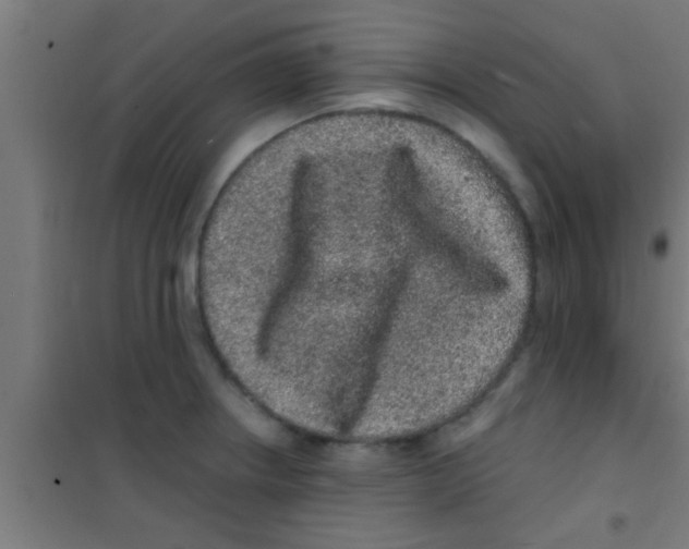 X0000100391234200807031942