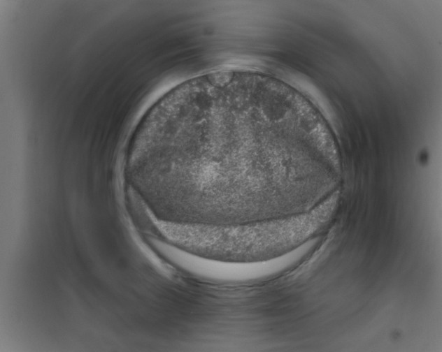 X0000100391235200807031942