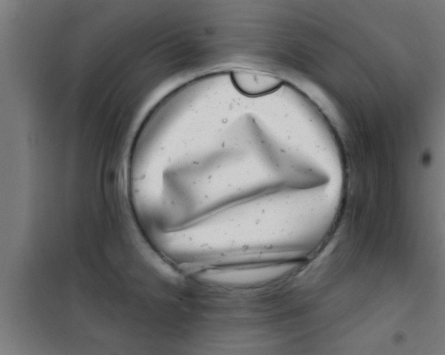 X0000100391238200807031942