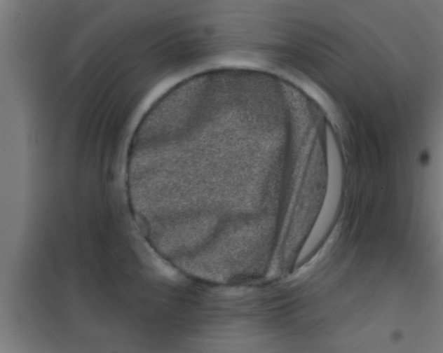 X0000100391240200807031942