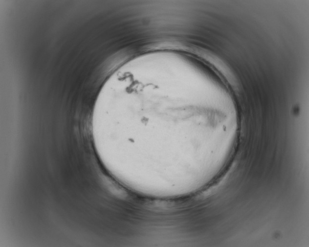 X0000100391241200807031942